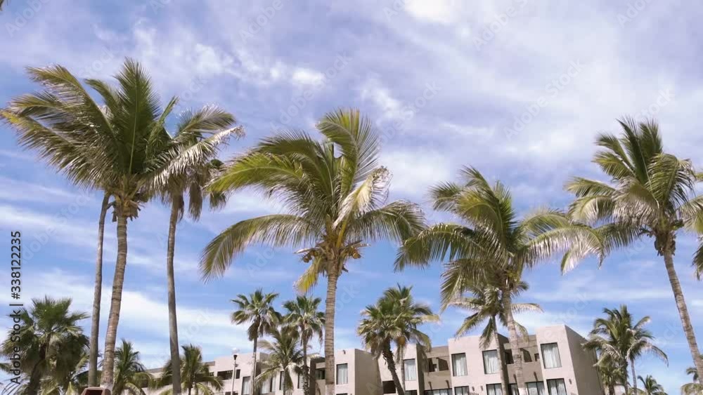 Palm trees and buildings moving with the wind. Palm trees and buildings moving with the wind.