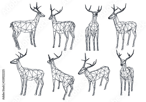Deer polygonal lines illustration. Abstract vector deer on the white background