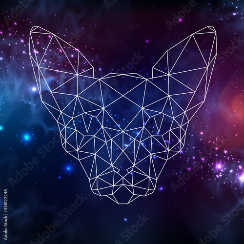 Polygonal silhouette of sphynx cat on dark open space background. Abstract Polygonal head of cat