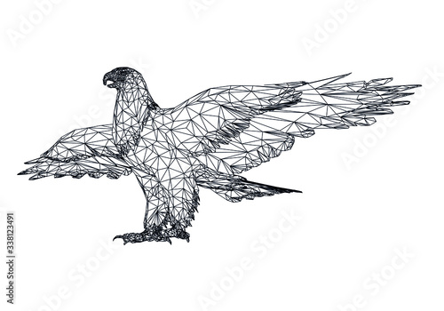 Bald Eagle polygonal lines illustration. Abstract vector eagle on the white background