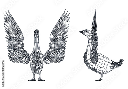 Goose polygonal lines illustration. Vector goose on the white background