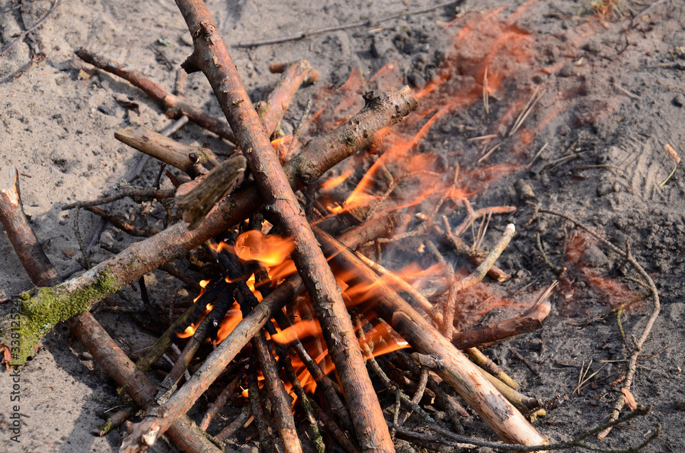 Tree branches are burning in the fire. Tree branches are burning in the fire.
