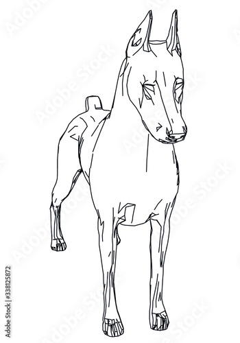 Doberman dog polygonal lines illustration. Abstract vector dog on the white background