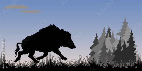 isolated image of the silhouette of a running wild boar against the background of the morning sky