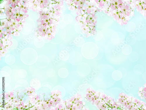 Blossom cherry flowers. Spring flowers on blurred blue background with bokeh