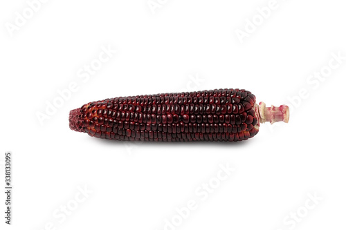 Siam Ruby Queen or Red corn of sweet corn © DECHA