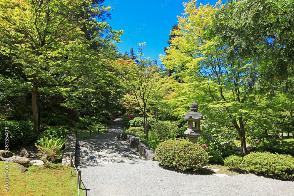 Japanese Garden in Seattle