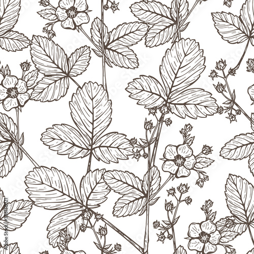Strawberry Tea Seamless Pattern. Hand drawn Sketch Strawberry Flower and Strawberry Leaf. Vector Flowers and Leaves. Medicinal Plants. Alternative Medicine Floral Background
