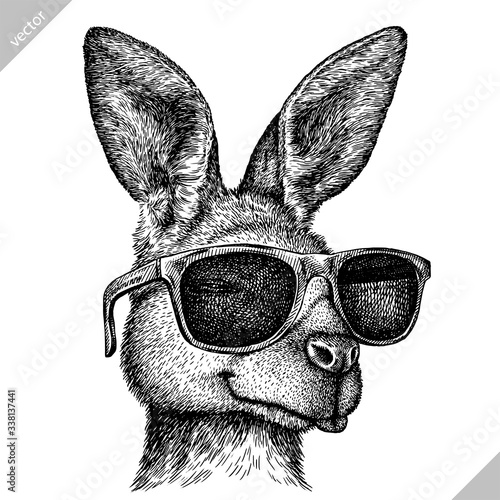 black and white engrave isolated kangaroo vector illustration