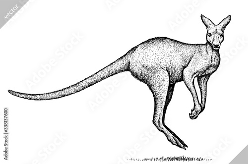 black and white engrave isolated kangaroo vector illustration
