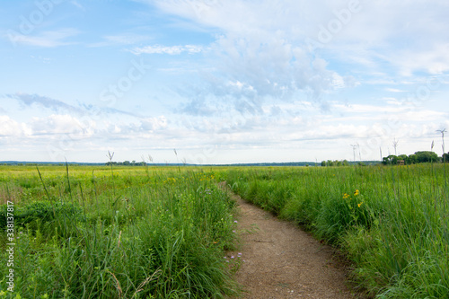 Dirt trail through the wildflowers and green grass on a summer morning.  Dixon waterfowl refuge, Illinois.