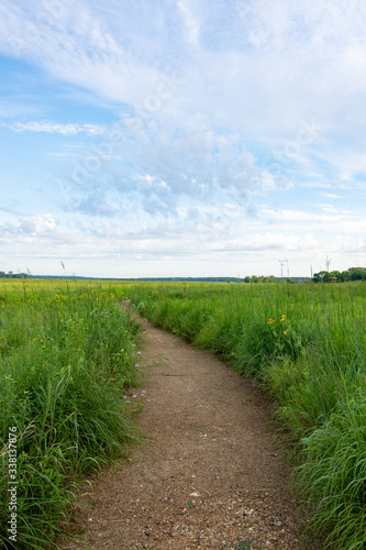 Dirt trail through the wildflowers and green grass on a summer morning.  Dixon waterfowl refuge, Illinois.