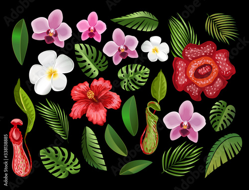 Tropical flowers and palm leaves