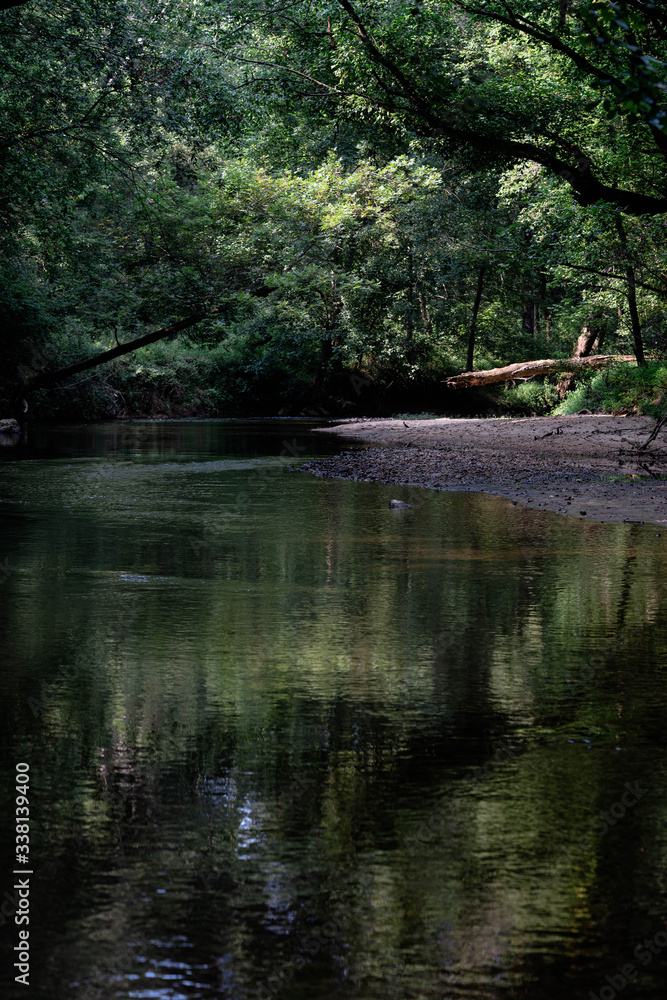nature reflection in water nature reflection in water
