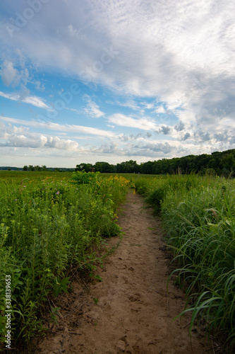 Dirt trail through the wildflowers and green grass on a summer morning.  Dixon waterfowl refuge, Illinois.