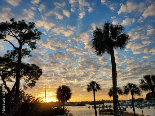 Palm Trees at Sunset Tarpon Springs Florida