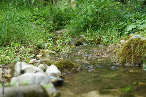 A stream in the Bavarian Forest in spring