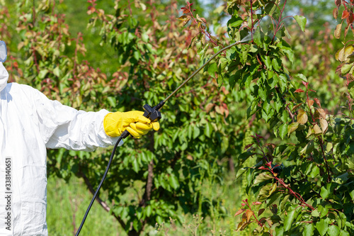 Spraying toxic pesticides in fruit orchard. Non-organic food concept.