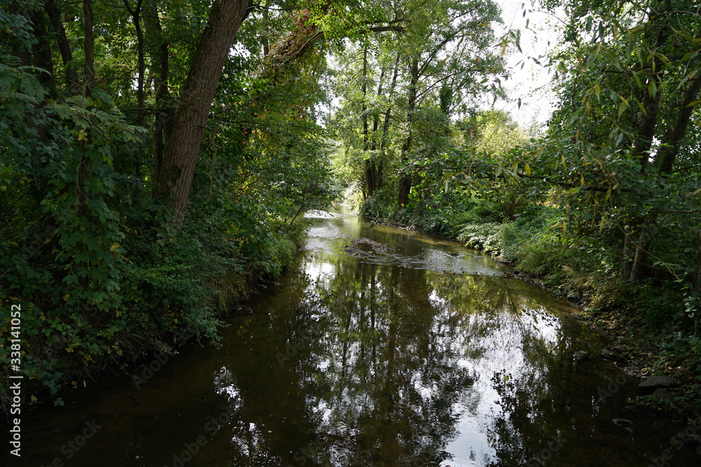 A stream in the Bavarian Forest in spring A stream in the Bavarian Forest in spring