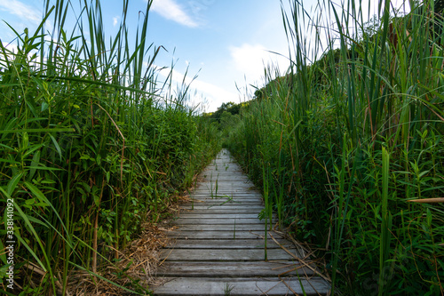 walkway, wetland, trail, grass, summer, adventure, agriculture, backdrop, background, blue, calm, concept, countryside, crop, direction, dixon waterfowl refuge, environment, explore, farm, farming, fi