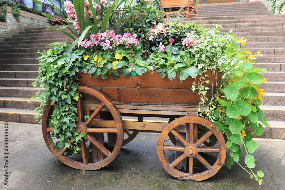 Wooden cart of plants decoration, with colored flowers