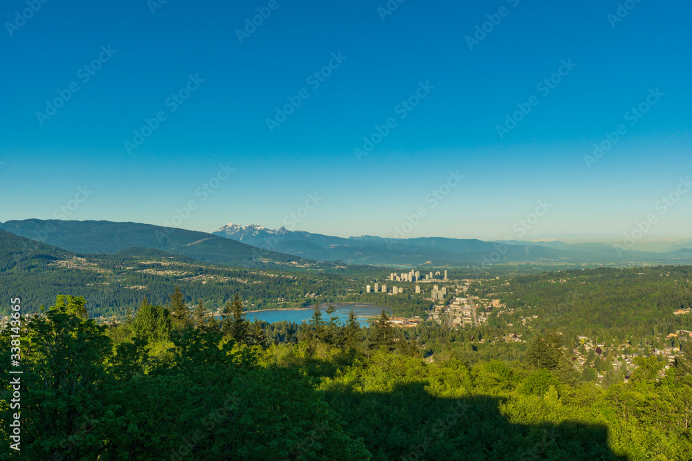 Naklejka premium ocean inlet set in lush forested valley with mountains on horizon
