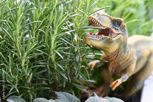 Trex, rex. dino, Dinosaurier, saurus, gefährlich, essen, rosmarin