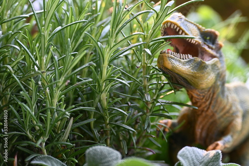 Trex, rex. dino, Dinosaurier, saurus, gefährlich, essen, rosmarin