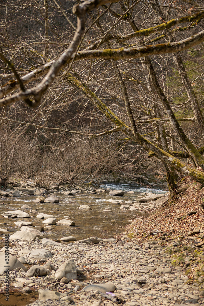 Mountain river in a calm forest with clean water early in the spring on March. Brown branches without leaves are near the stream Mountain river in a calm forest with clean water early in the spring on March. Brown branches without leaves are near the stream