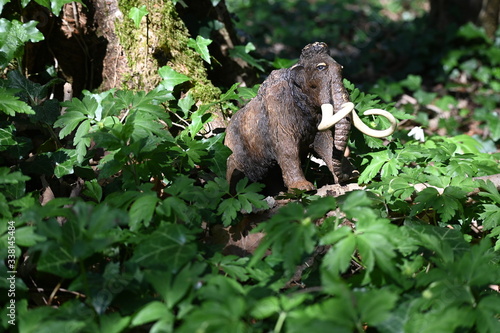 Mammut 