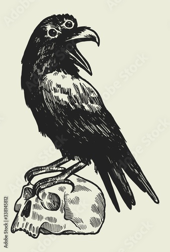 Tree eyed raven standing on human skull vintage dark art illustration t-shirt print