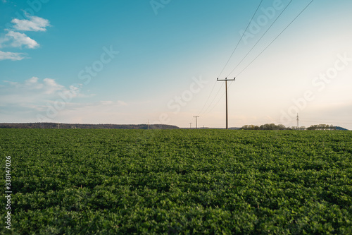 Hochspannungskabel und Stahlmasten in einer Agrarlandschaft