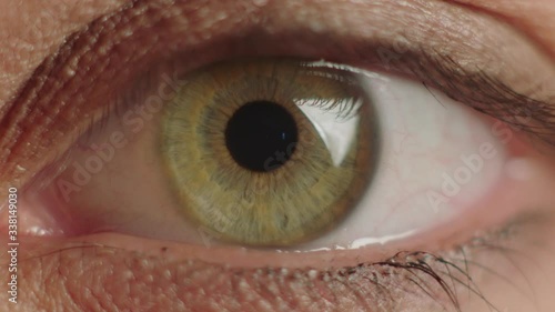 Macro closeup shot of a hazel green eye belonging to a white female. photo