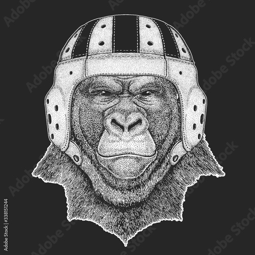 Gorilla, monkey, ape. Rugby leather helmet.