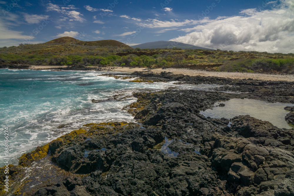 Hawaiian coastal landscape