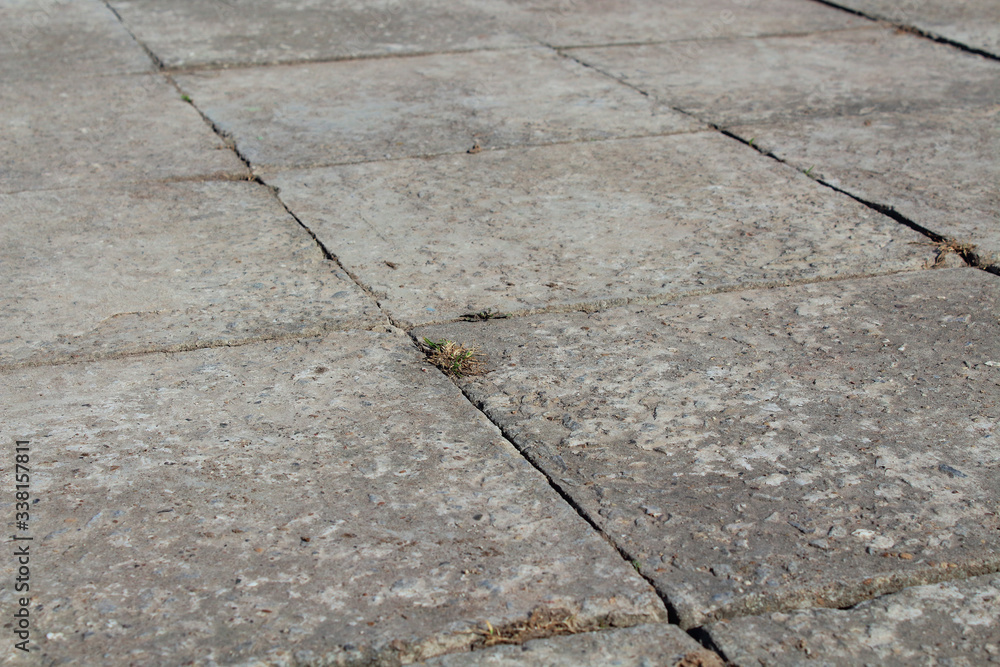 Obraz premium Old paving slabs. Close-up. selective focus. Top view. Background. Texture.