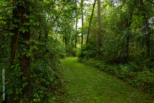 Trails around Castle Rock state park on a hot and humid summer day.  Illinois, USA.