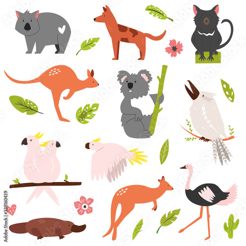 Big flat set of famous Australian animals