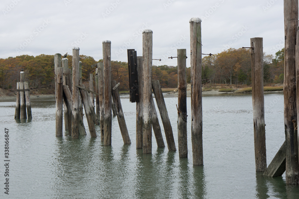 Dock Pilings in Bare Cove Park, Weymouth, MA