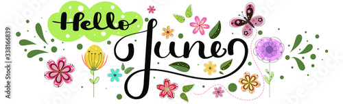 Hello June. JUNE month vector with flowers,  and leaves. Decoration floral. Illustration month June