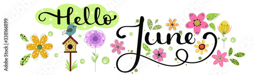 Hello June. JUNE month vector with flowers,  and leaves. Decoration floral. Illustration month June