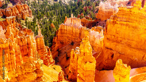 Sunrise over the Vermilion colored Pinnacles, Hoodoos and Amphitheaters along the Navajo Loop Trail in Bryce Canyon National Park, Utah, United States