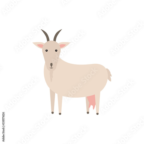 Goat vector flat illustration isolated on white background. Domestic animal. Farm animal goat cartoon character. Print for nursery.