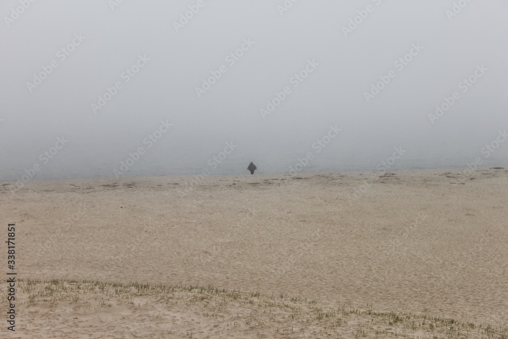 A Solitary Walk on the Beach