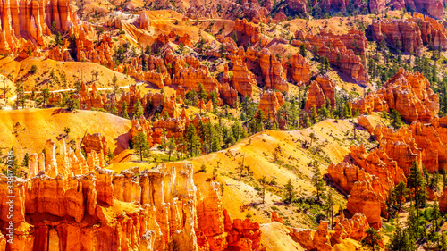 Sunrise over the Vermilion colored Pinnacles, Hoodoos and Amphitheaters along the Navajo Loop Trail in Bryce Canyon National Park, Utah, United States