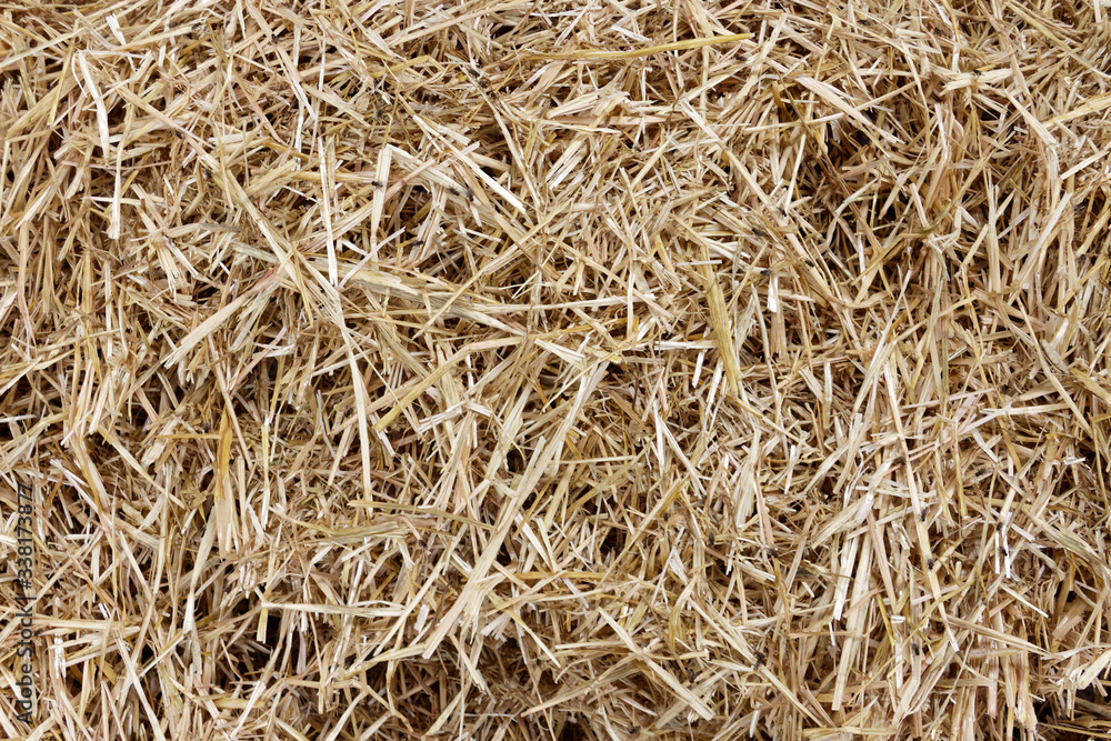 Straw surface. Straw pack texture. Stack of straw texture image. Dry stems photo backdrop. Dry stalks of cereal plants background. Dry stems of cereals in sunny day Straw surface. Straw pack texture. Stack of straw texture image. Dry stems photo backdrop. Dry stalks of cereal plants background. Dry stems of cereals in sunny day