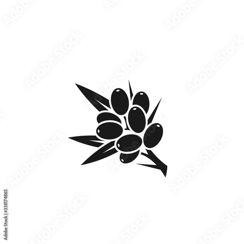Sea buckthorn berry. Isolated icon