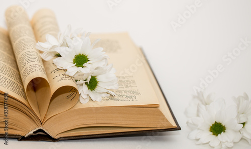 open book with white chrysanthemums on the table