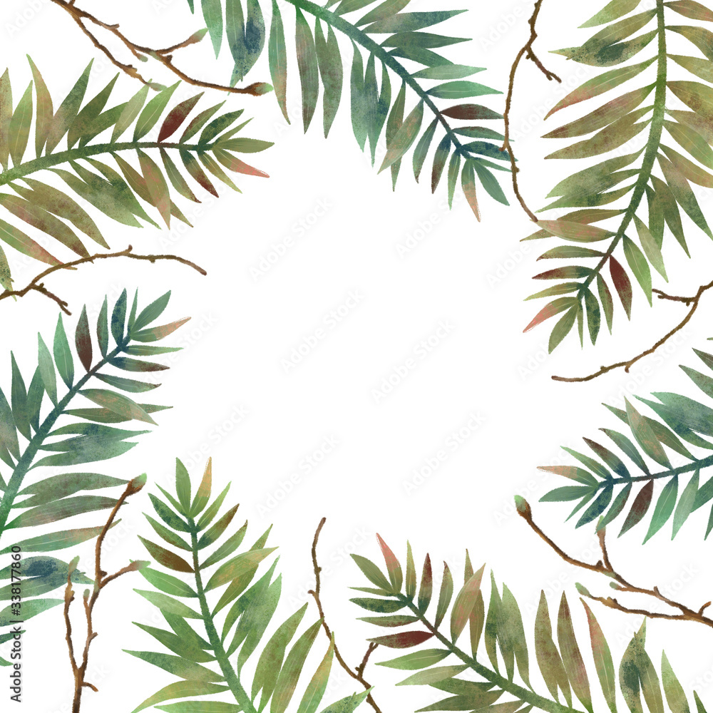 Forest frame, card template with hand drawn green fern leaves and tree branches on white background Forest frame, card template with hand drawn green fern leaves and tree branches on white background