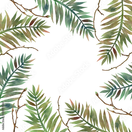 Forest frame, card template with hand drawn green fern leaves and tree branches on white background